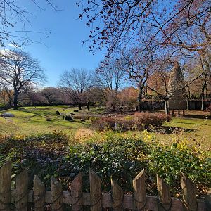 Bronx - Africa - Nyala yard from right end