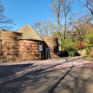 Bronx - Africa - Baboon Reserve