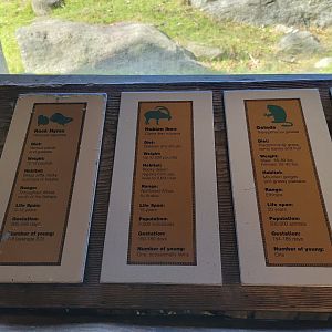 Bronx - Africa - Baboon Reserve species