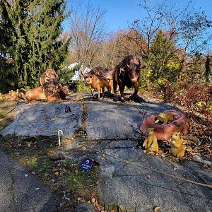 Bronx - Native species holiday lights