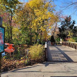 Bronx - Path back to Reptile building