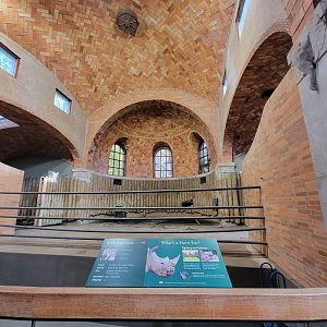 Bronx - Zoo Center - Rhino indoor area