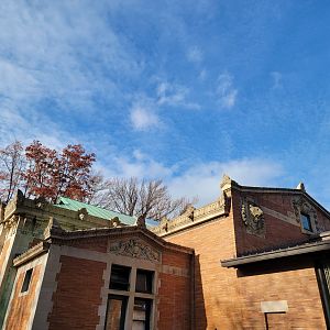 Bronx - Madagascar building front