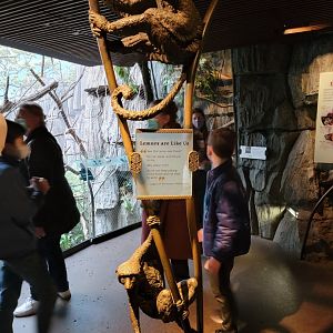 Bronx - Madagascar - Lemur statue