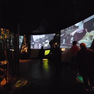 Bronx - Madagascar - Nocturnal area