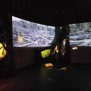 Bronx - Madagascar - Nocturnal room