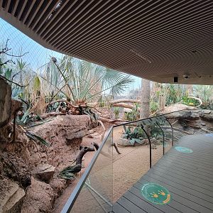 Bronx - Madagascar - Ring-tailed lemur, etc