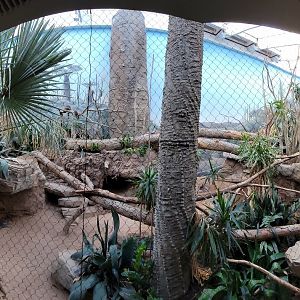 Bronx - Madagascar - Exhibit panorama (open to view!)