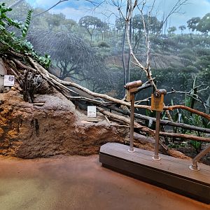 Bronx - Madagascar - Decor