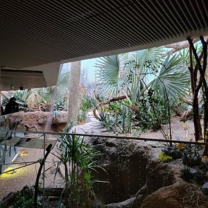 Bronx - Madagascar - Right end of main exhibit