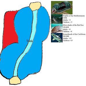 ZT Marine Mania: Shark Tunnel