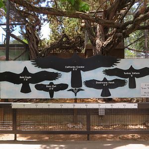 Wingspan Comparison Signage