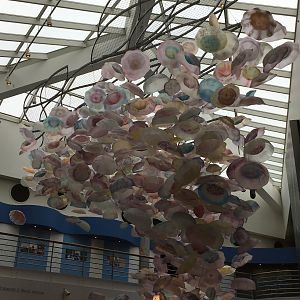 Jellyfish Glass Sculpture (2016)