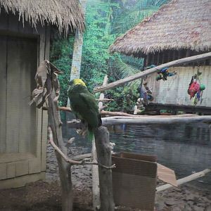 Piranha Falls - Rotational Exhibit