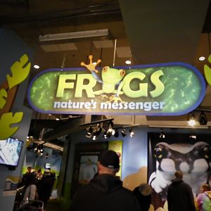 KidZone - Frogs: Nature's Messengers Entrance