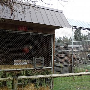 Black bear demonstration area