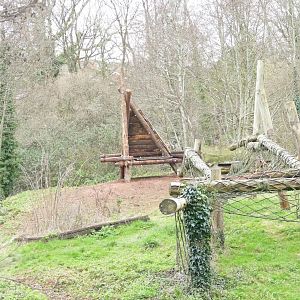 New structure on the Gorilla island, January 2022