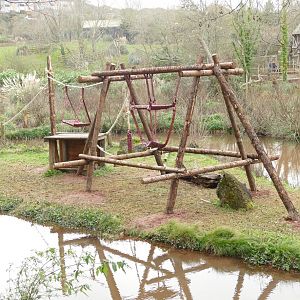 New climbing frame for the Bornean orangutans, January 2022