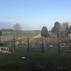 Indian Sloth Bear Enclosure