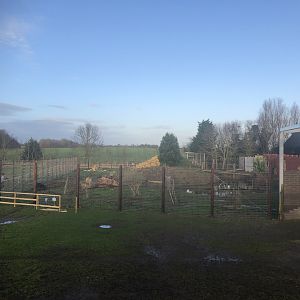 Indian Sloth Bear Enclosure