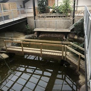 Second section of the Tropical House (Still under construction)
