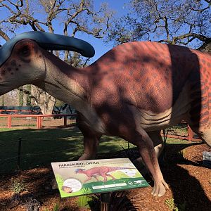 Parasaurolophus animatronic (new & temporary)