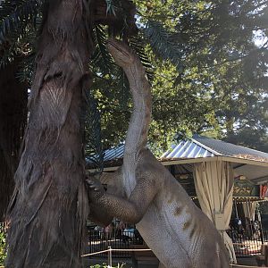 Lessemsaurus animatronic (new & temporary)