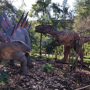 Stegosaurus vs Allosaurus animatronics (new & temporary)