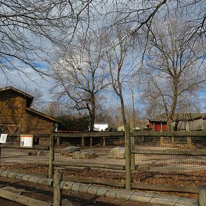 Chacoan Peccary Yard
