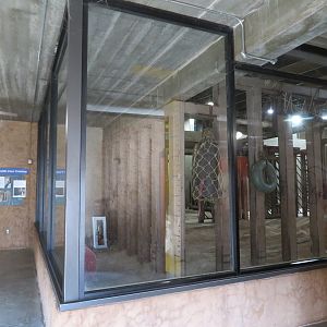 Indoor African Elephant Viewing