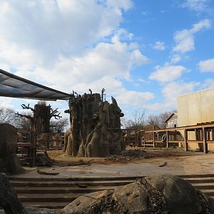 African Elephant Exhibit (Part)