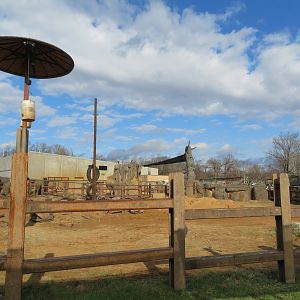 African Elephant Exhibit (Part)