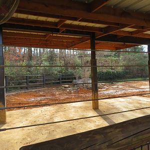 White Rhino Exhibit (Part)