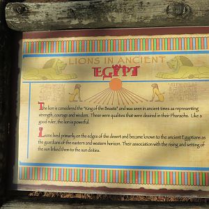 Lions in Egypt Signage