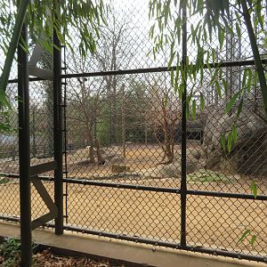 Painted Dog Exhibit