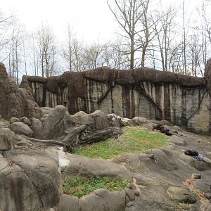 Chimpanzee Exhibit (Part)