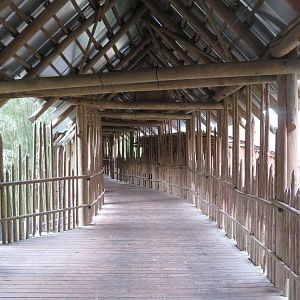 Wooden Covered Walkway