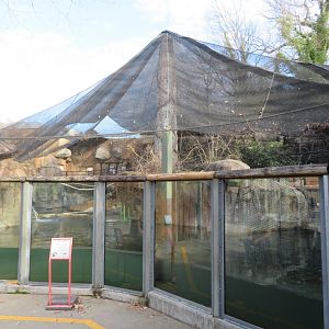 Beaver/Budgie Aviary