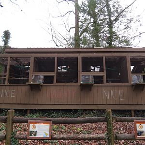 Raptor Aviaries - Naughty and Nice