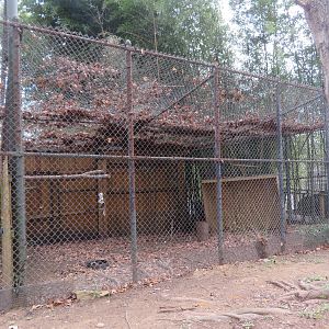 Red-legged Seriema Exhibit