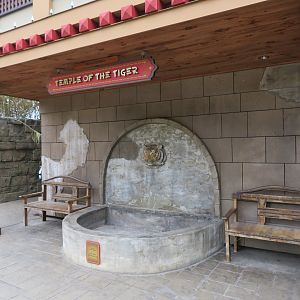 Tiger Fountain