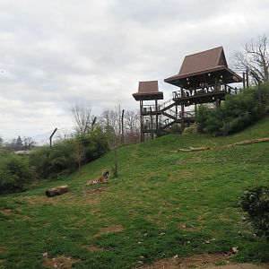 Malayan Tiger Exhibit (1 of 2)