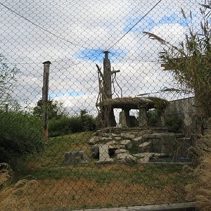 Malayan Tiger Exhibit (2 of 2)