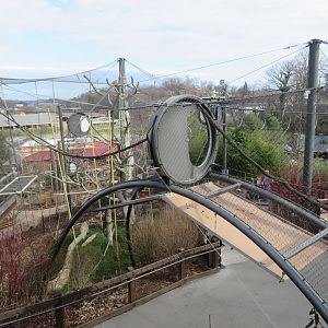Gibbon/Monkey Overhead Pathway