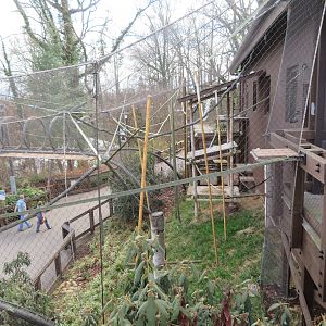 Asian Trek Primate Exhibit
