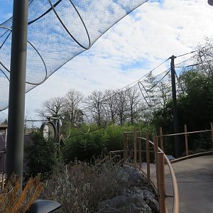 Gibbon/Monkey Overhead Paths