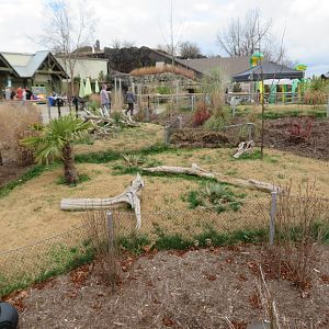 ARC Outdoor Tortoise Yard