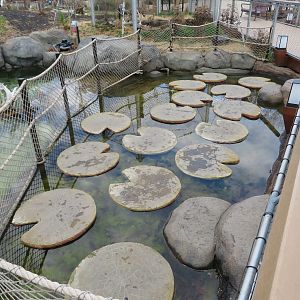 ARC Outdoor Lily Pads