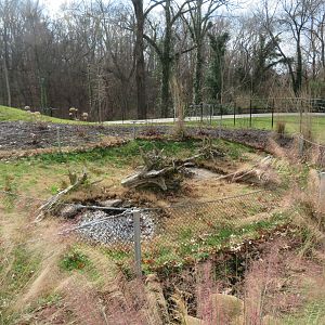 ARC Outdoor Tortoise Yard