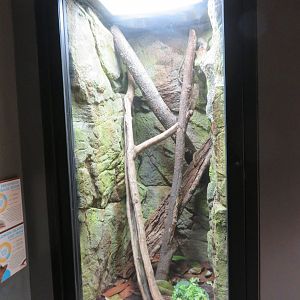 Solomon Islands Exhibit